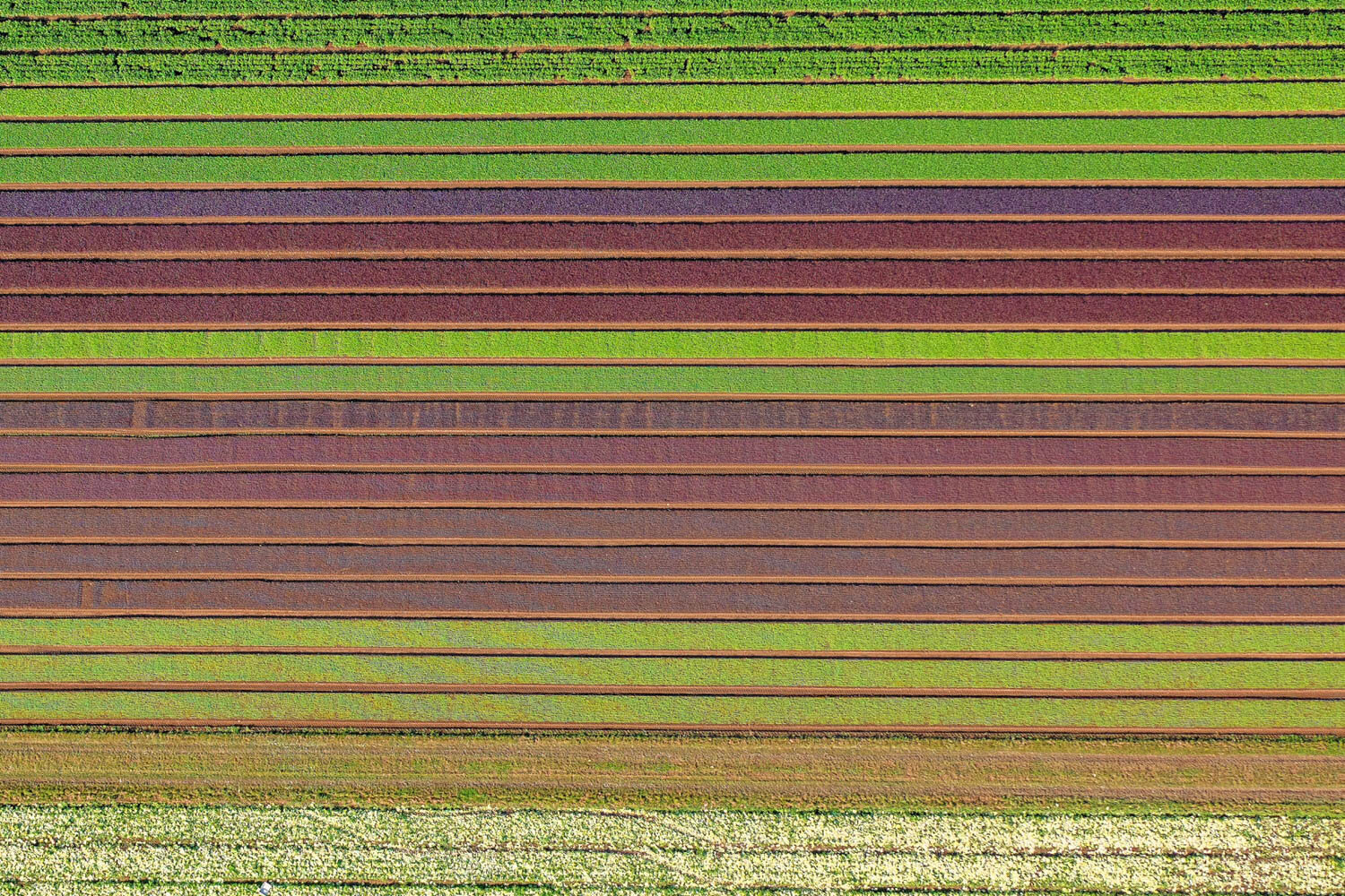 dji-0161-bearbeitet-bearbeitet.jpg