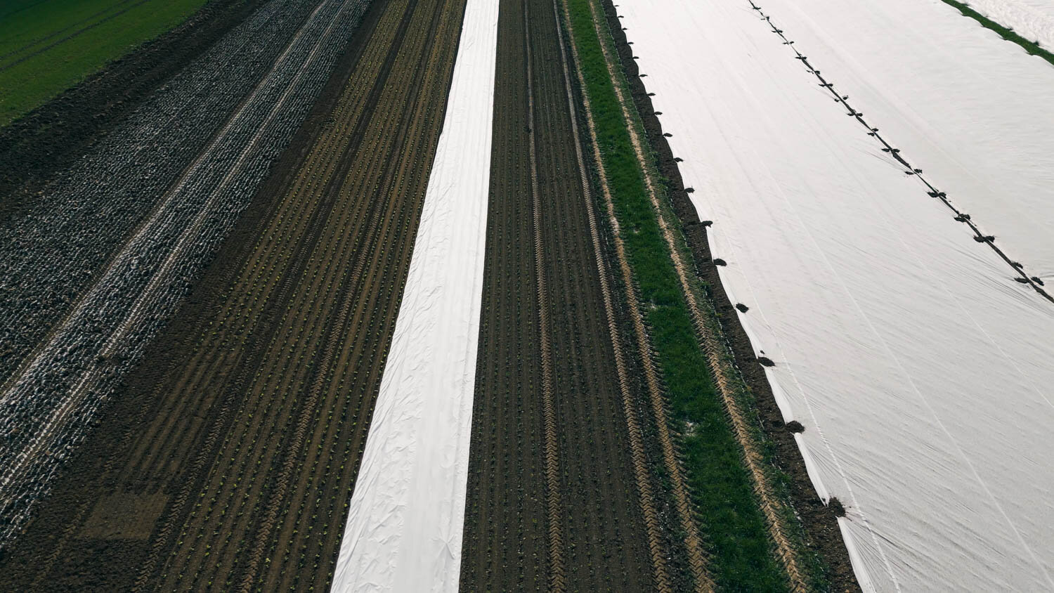 dji-20250317150844-0011-d.00-03-34-04.standbild001.jpg